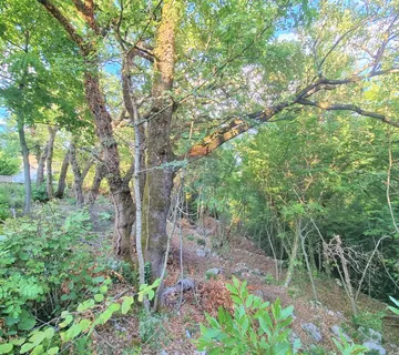 OPATIJA, BREGI- zemljište 1230 m2 sa pogledom na more - cover