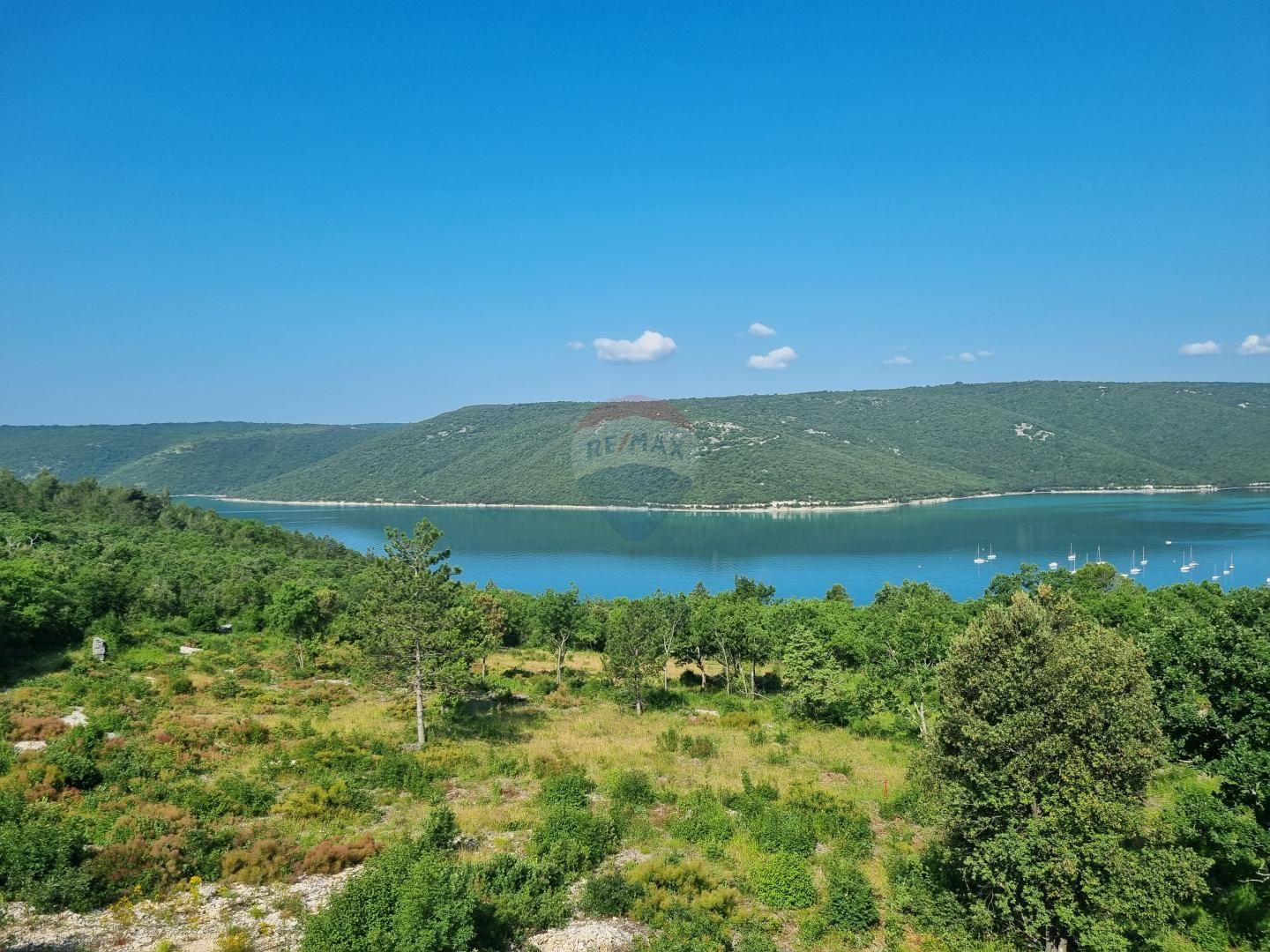 Fotografija