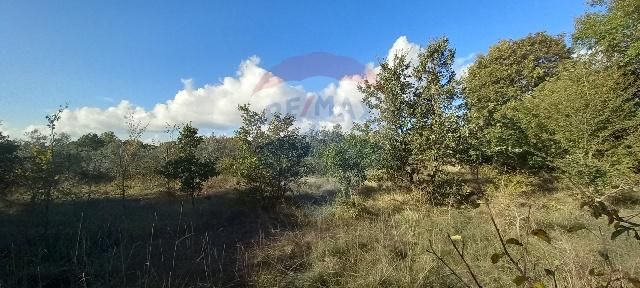 Fotografija