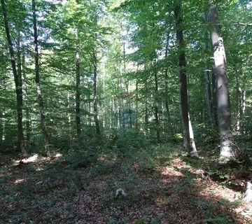 Sunger - poljoprivredni teren - cover