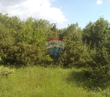 Istra, okolica Bala 30058m2 poljoprivredno zemljište - cover