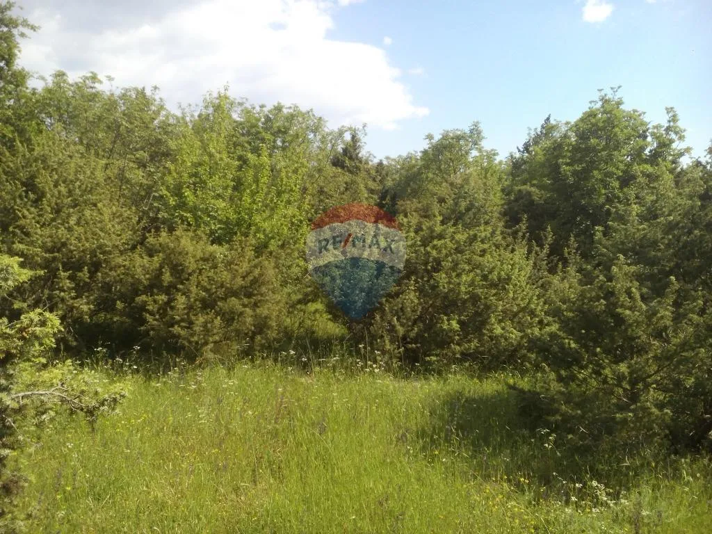 Istra, okolica Bala 30058m2 poljoprivredno zemljište - cover