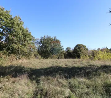 VIŠNJAN, okolica-građevinsko zemljište  - cover