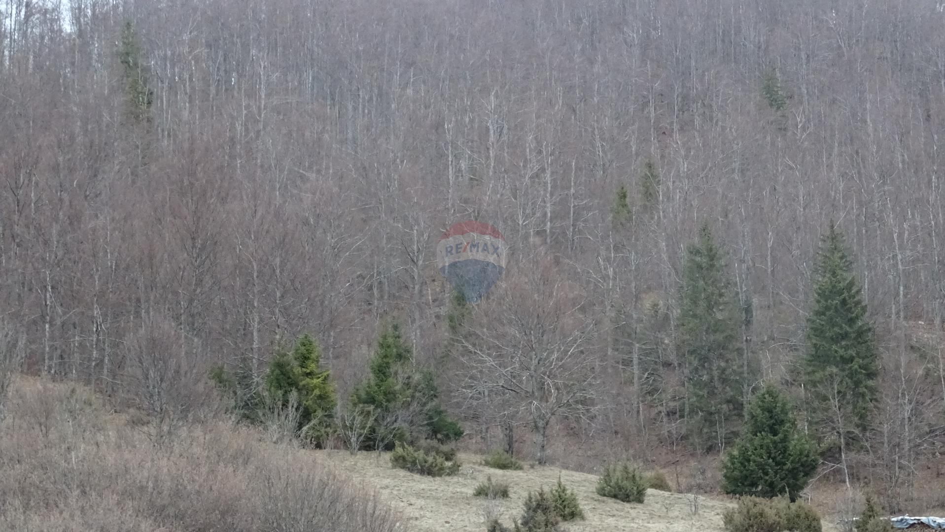 Fotografija