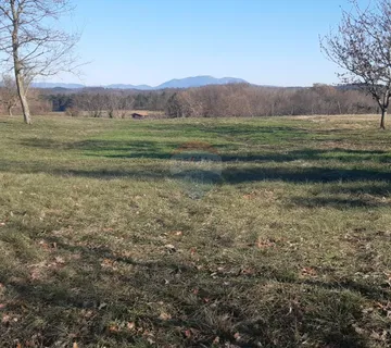 Istra, Pazin okolica građevinska parcela 1975m2 - cover