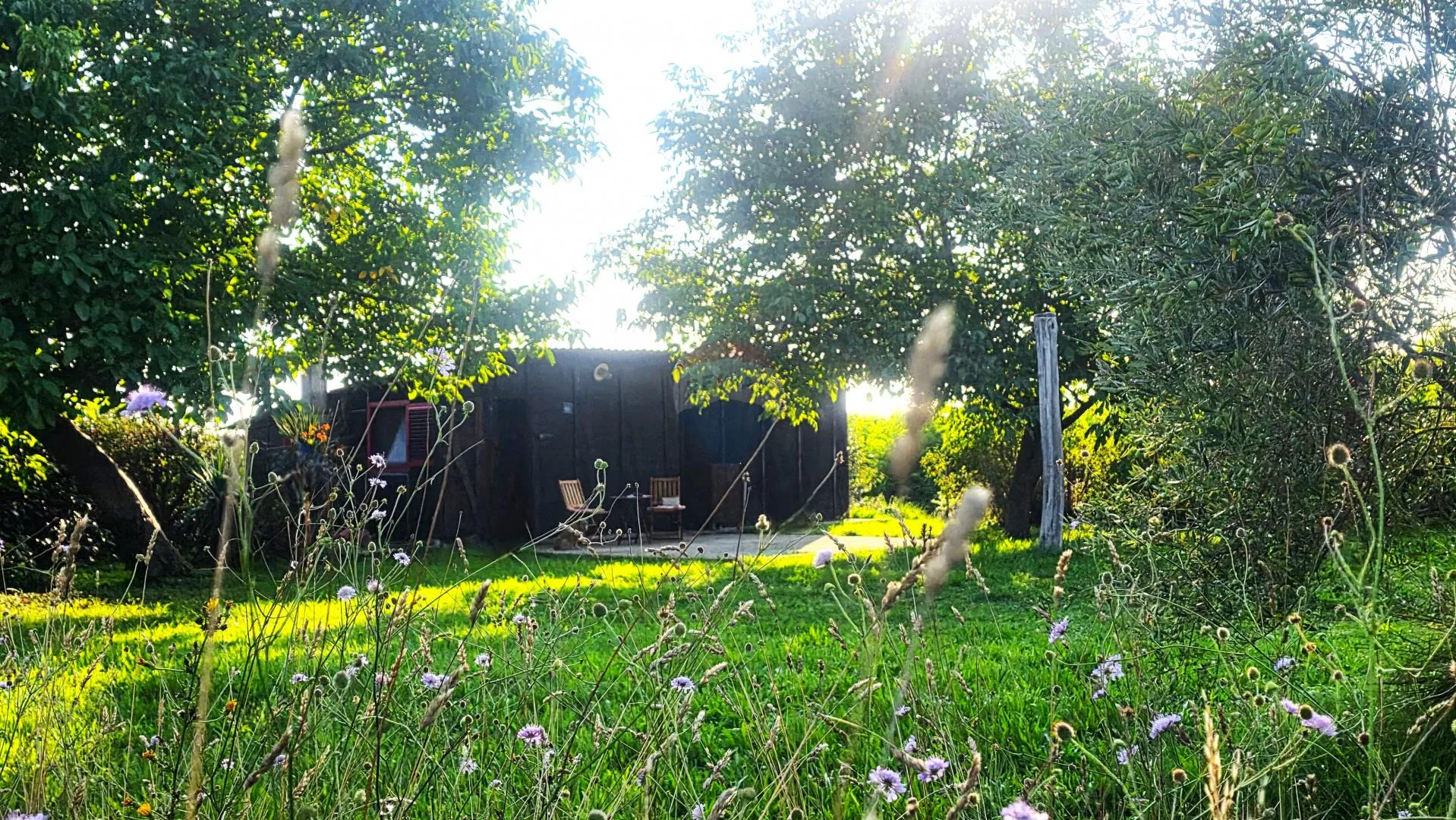 Istra,Lovrečica,okolica-Kuća s velikom okućnicom - cover