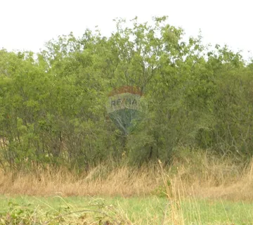 Bale, Valada-poljoprivredno zemljište - cover