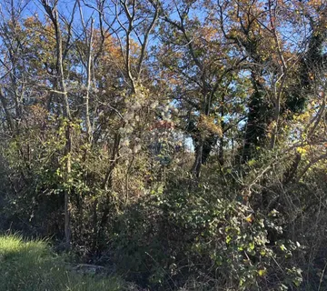 Istra, Kastelir- Poljoprivredno zemljiste velicine 1.5 hektara - cover