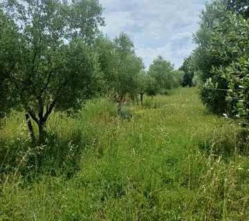 Istra, Mali Vareški, građevinsko - poljoprivredno zemljište - cover