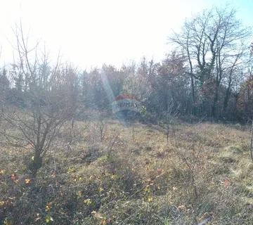 SALAMBATI, ISTRA, POLJOPRIVREDNI TEREN 2914m2, PRODAJA - cover