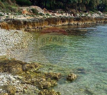 Rovinj,parcela na samom moru-9750m2 - cover