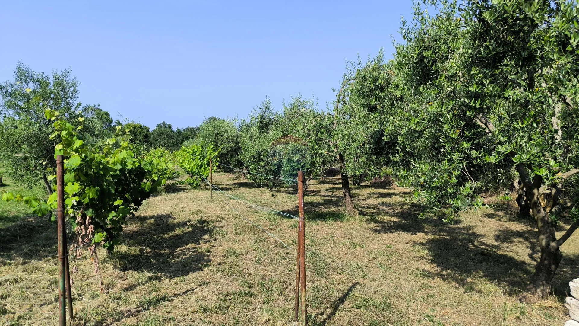 Istra, Marčana - kombinirano građevinsko zemljište  - cover