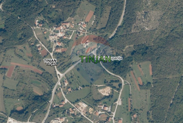 Fotografija