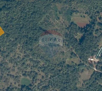 ISTRA, PAZIN, TRVIŽ POLJOPRIVREDNO ZEMLJIŠTE-ŠUMA 4978m2  - cover