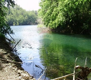 Šuma uz jezero-mogućnost zamjene - cover