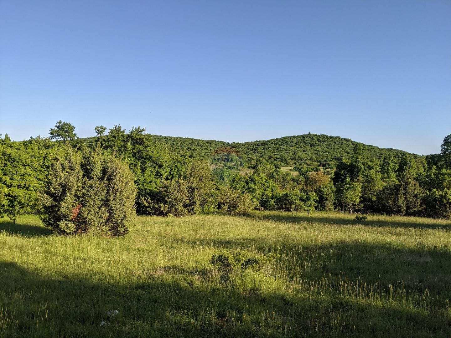 Fotografija