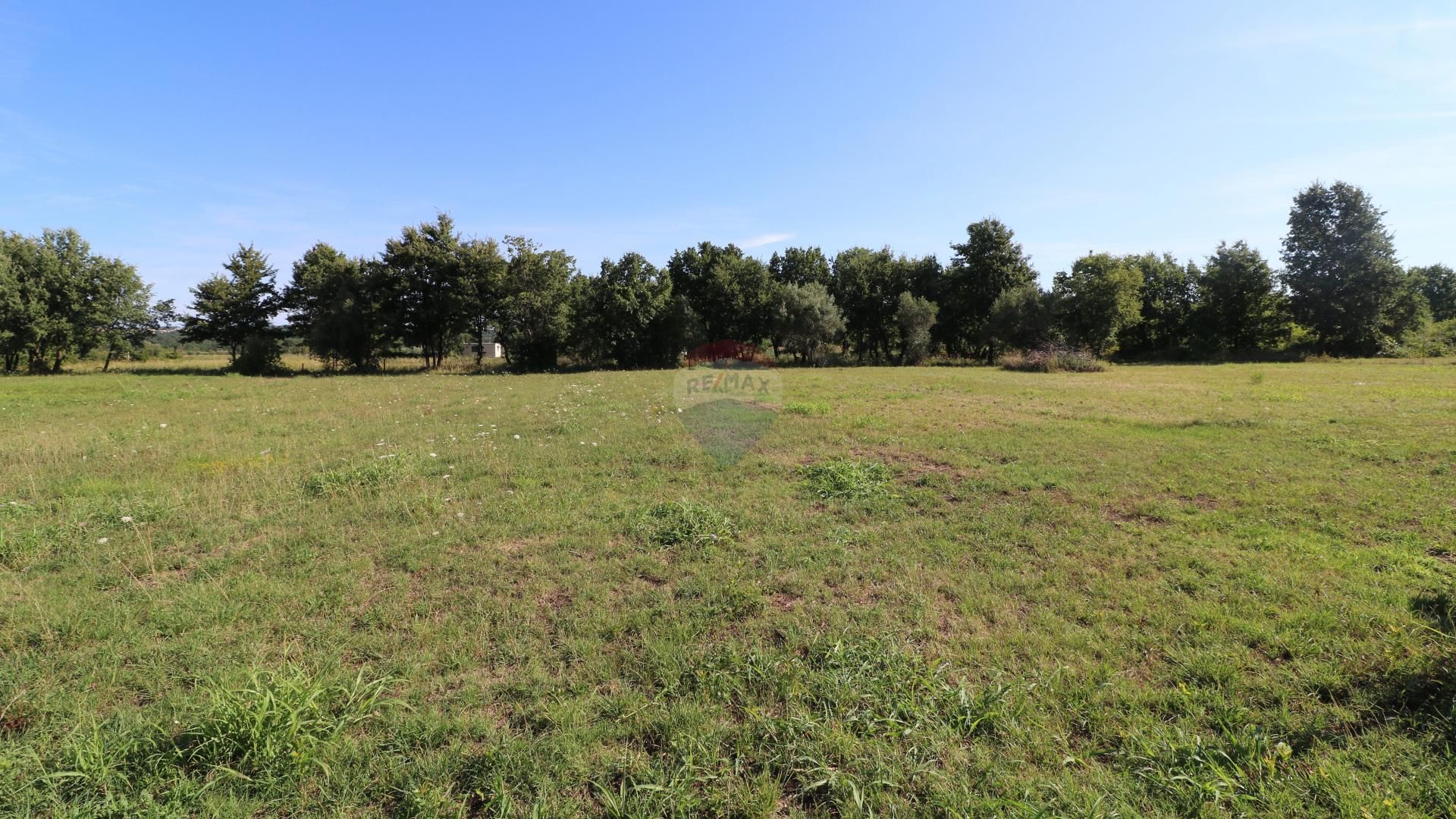 POREČ, okolica- zemljište pred urbanizacijom - cover