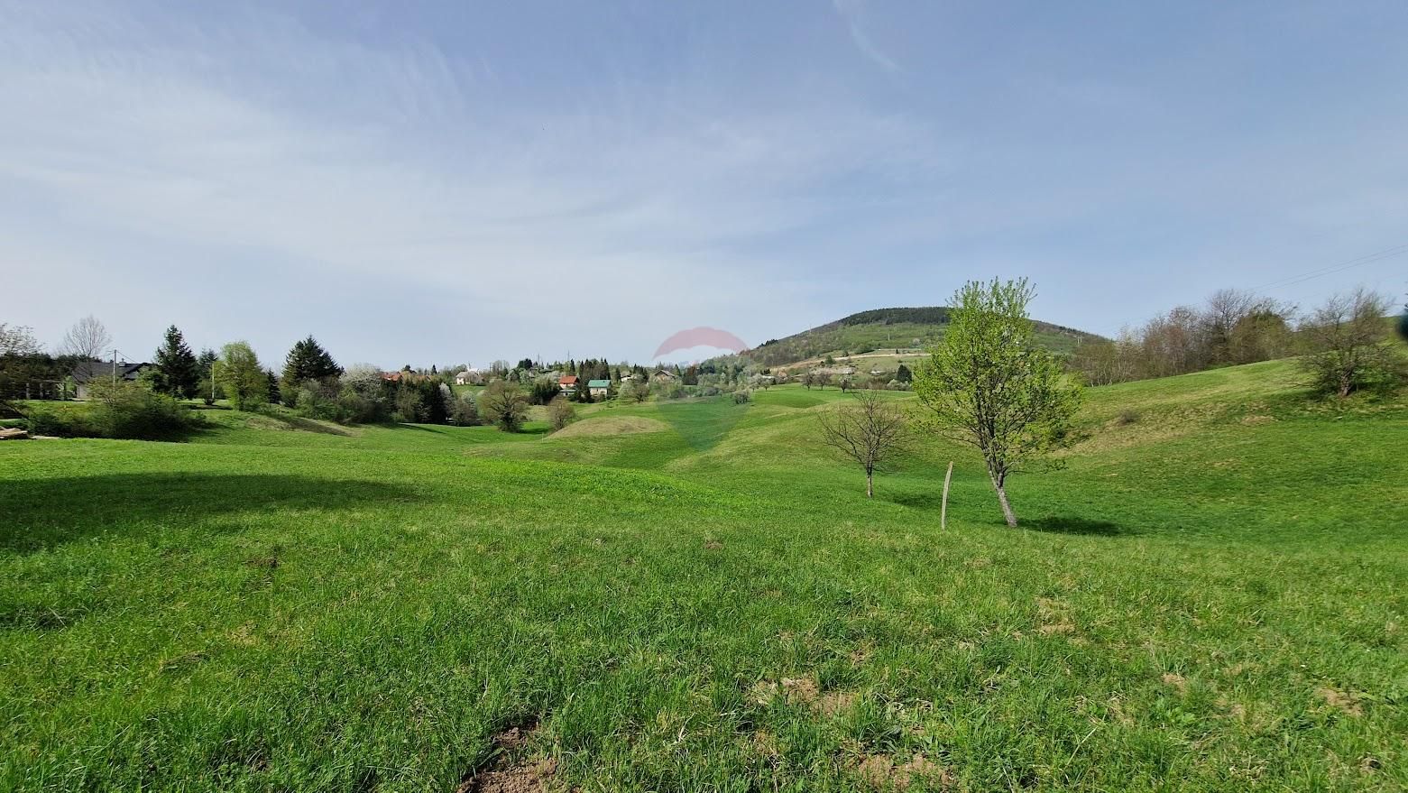Fotografija