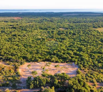 BALE, POLJOPRIVREDNO ZEMLJIŠTE S PANORAMSKIM POGLEDOM 6654m2 - cover