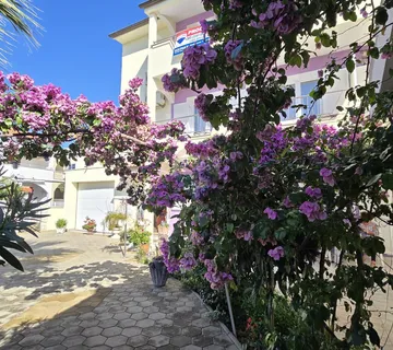 Vodice - kuća sa 7 apartmana i velikim dvorištem - cover