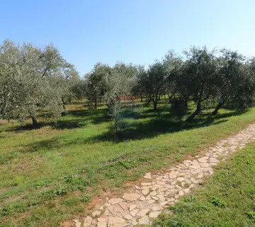 BRTONIGLA-građevinsko zemljište - cover