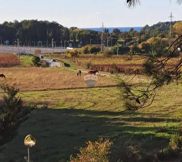 Poreč, lijepa poljoprivredna parcela sa pogledom na more - cover