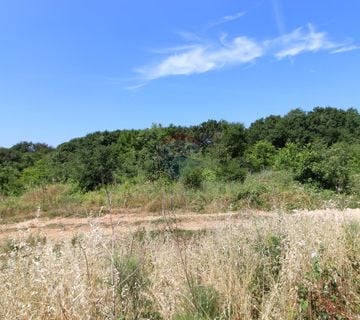 ISTRA, PULA,VELI VRH PRODAJE SE GRAĐEVINSKO ZEMLJIŠTE 6397 M2 - cover