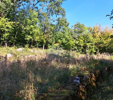 Matulji,Bregi,poljoprivredno zemljište - cover