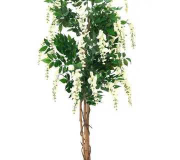EUROPALMS Wisteria, white, 150cm - cover