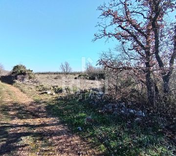 Peruški ,građevinsko zemljište 22.890m2 poslovne namjene ! - cover