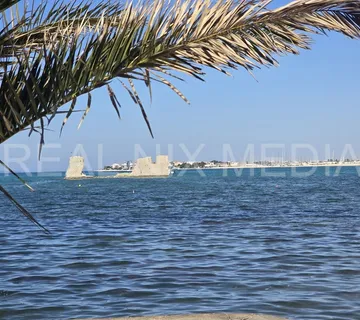 TOP ZEMLJIŠTE! - cover