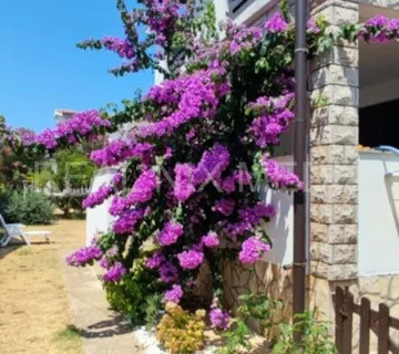 Privlaka (Škrapavac): Kuća s potencijalom, 3 jedinice i okućnica 300 m² - cover