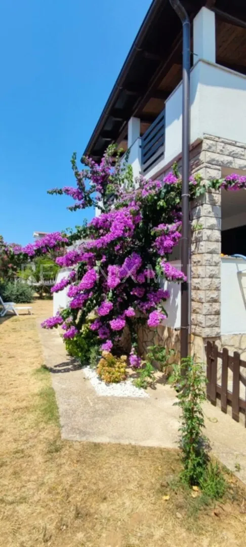 Privlaka (Škrapavac): Kuća s potencijalom, 3 jedinice i okućnica 300 m² - cover