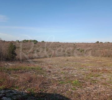 Kombinirano zemljište, 1242 m2 građevinsko, okolica Barbana - cover