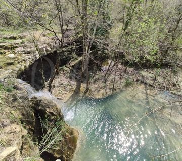 Maslinik sa pogledom na jezero - cover