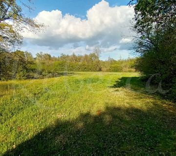 Istra, Barban, poljoprivredno zemljište 4996 m2 - cover