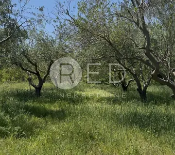 Privlaka građevinsko zemljište 956m2 (9 stambenih jedinica)