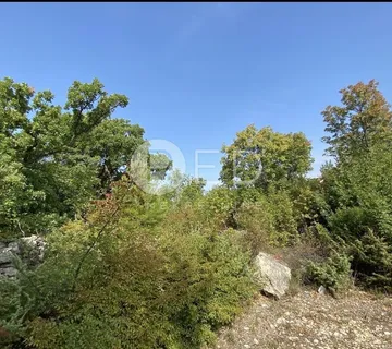 MASLENICA – GRAĐEVINSKA PARCELA 1244 m² NA PRODAJU - cover