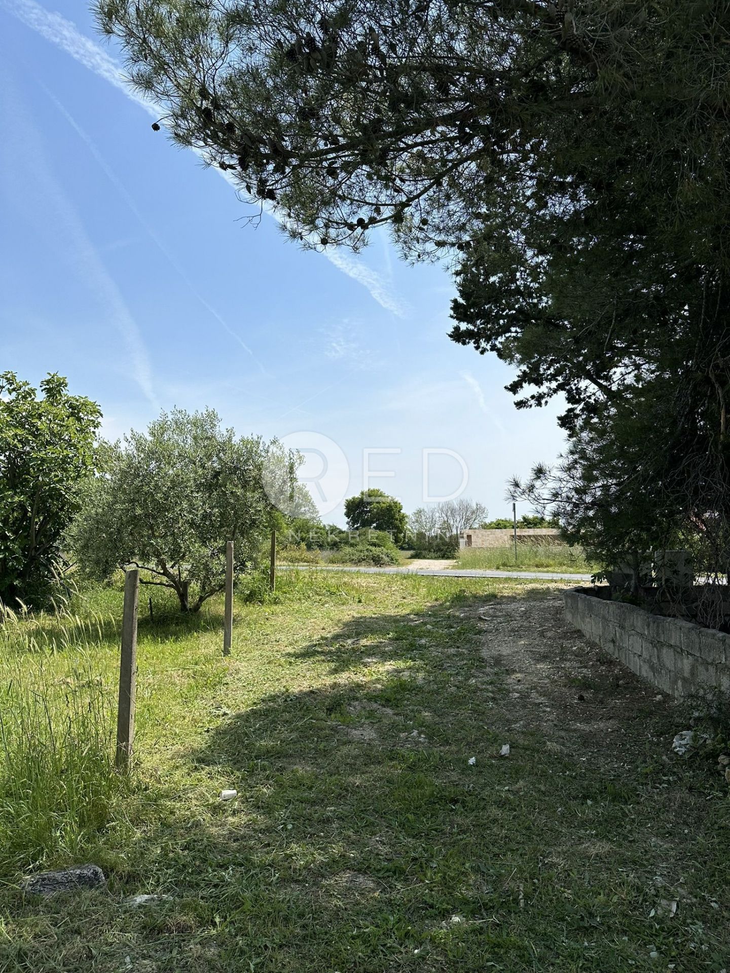 Fotografija