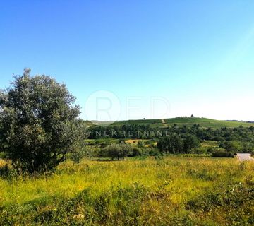 Buje - građevinsko zemljište na odličnoj lokaciji, 1200 m2 - cover