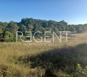 Istra,Tinjan - Građevinsko zemljište 5459 m2 + poljoprivredno 1776 m2 - Kringa