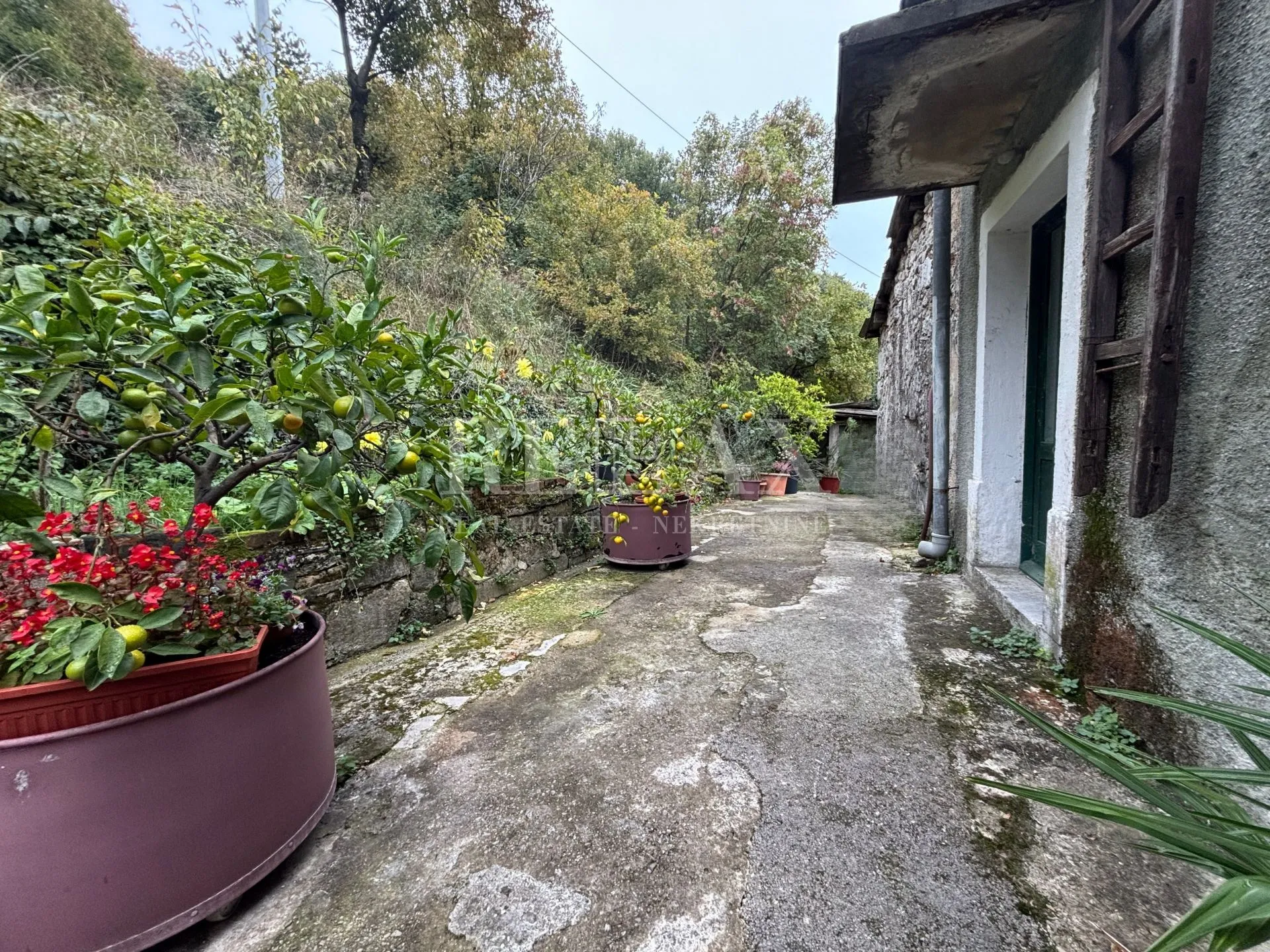 Rijeka, Škurinje - starina za adaptaciju - cover