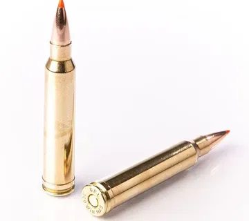 Karabinsko streljivo FIOCCHI 300 Win.Mag. EPN 11,7g / 180gr - cover