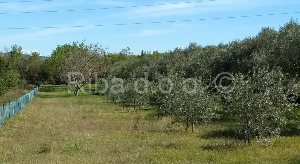Fotografija