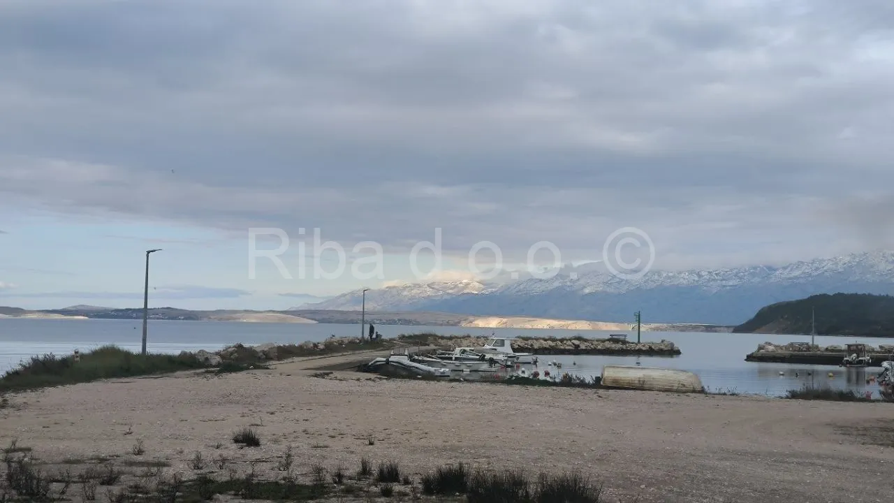 Fotografija
