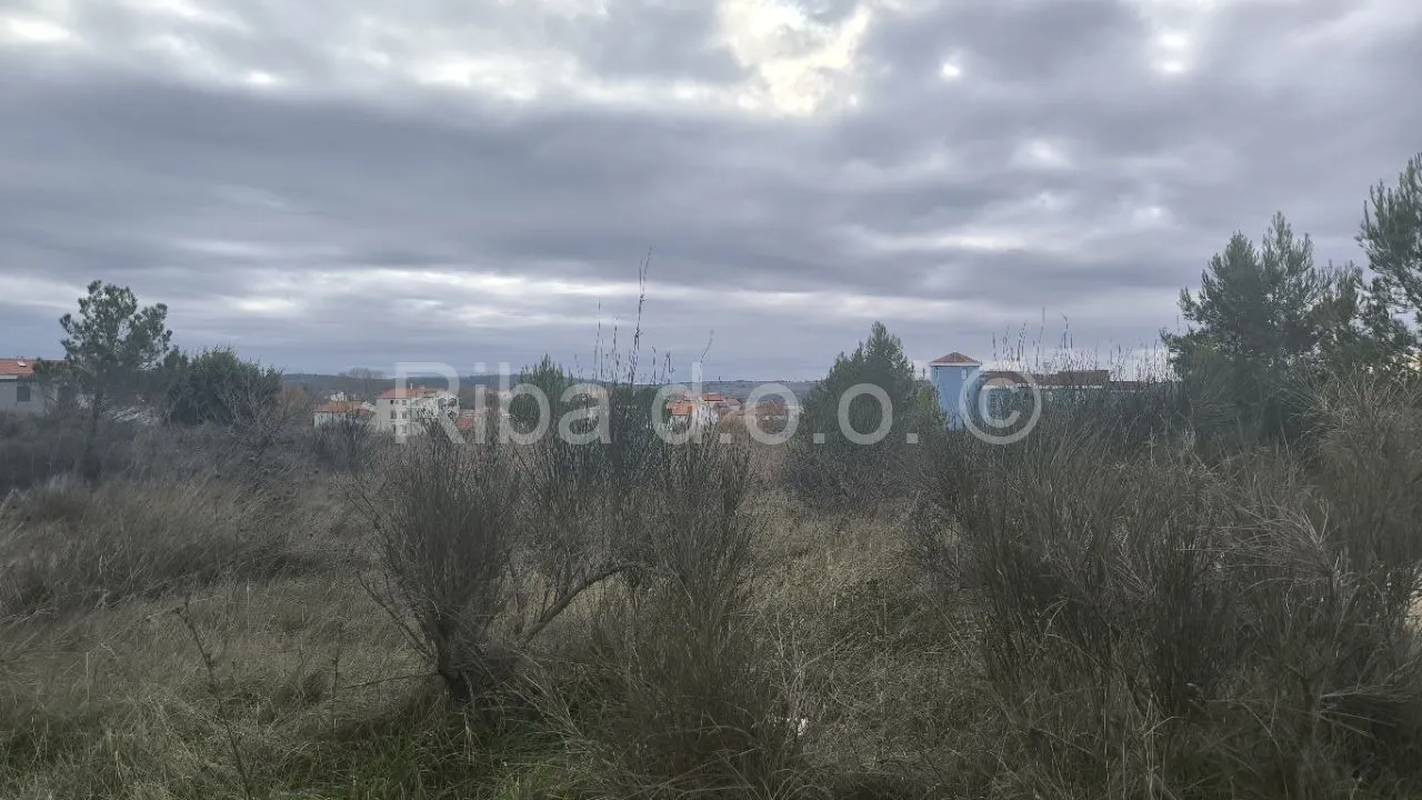 Fotografija