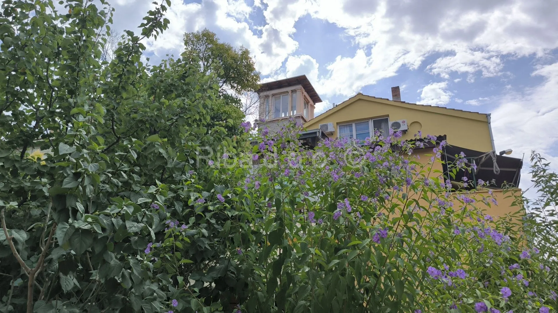 Fotografija
