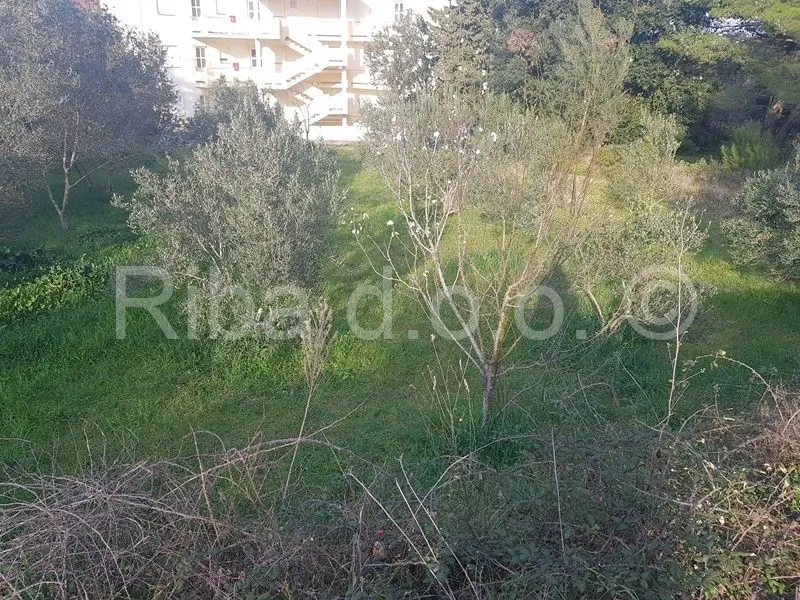 Fotografija