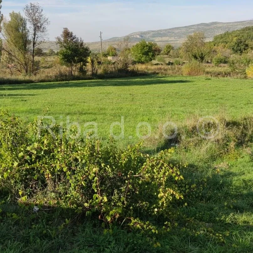 Fotografija