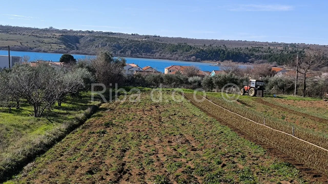 Fotografija